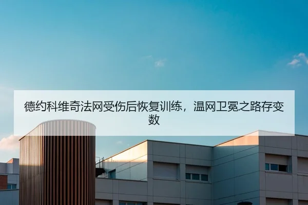 de-yue-ke-wei-qi-fa-wang-shou-shang-hou-hui-fu-xun-lian-wen-wang-wei-mian-zhi-lu-cun-bian-shu-2-207.jpg