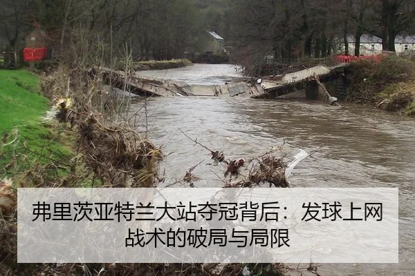 弗里茨亚特兰大站夺冠背后：发球上网战术的破局与局限